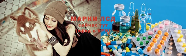 ГАЛЛЮЦИНОГЕННЫЕ ГРИБЫ Алзамай