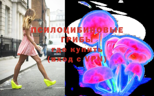 ГАЛЛЮЦИНОГЕННЫЕ ГРИБЫ Алзамай