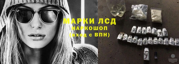 ГАЛЛЮЦИНОГЕННЫЕ ГРИБЫ Алзамай