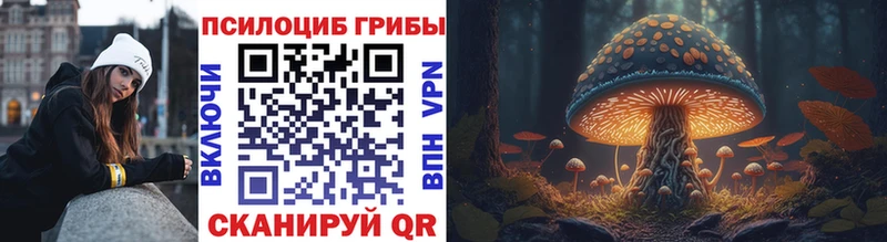 Псилоцибиновые грибы Cubensis  нарко площадка формула  Тара 